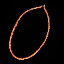 a-strand-of-mediterranean-red-coral-beads_x5400b