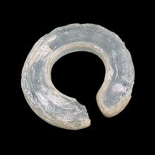 an-ancient-vietnamese-penannular-glass-ear-ornament_e2141a