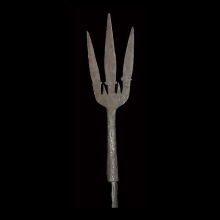 an-old-naga-headhunter-ceremonial-spear_t3915b