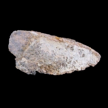 fossil-dinosaur-bone-jurassic-period_f151b