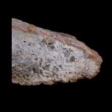 fossil-dinosaur-bone-jurassic-period_f151c