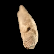 fossil-whale-tooth_f175b