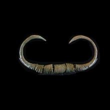 iron-age-votive-bronze-torque-4th-1st-century-bc-cambodia_x4319b