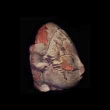 mehrgarh-clay-head-of-goddess_x6142b