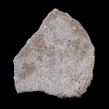 saltasaurus-egg-fragments---dinosaur_f139b